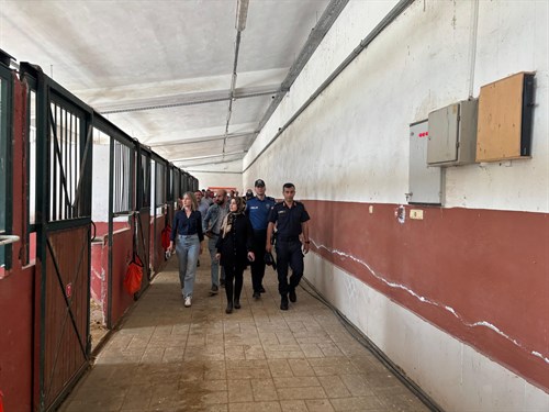 Sayın Kaymakamımız Semanur Kalkan ve Kurum Amirlerimiz, At Binme Etkinliğine Katıldılar